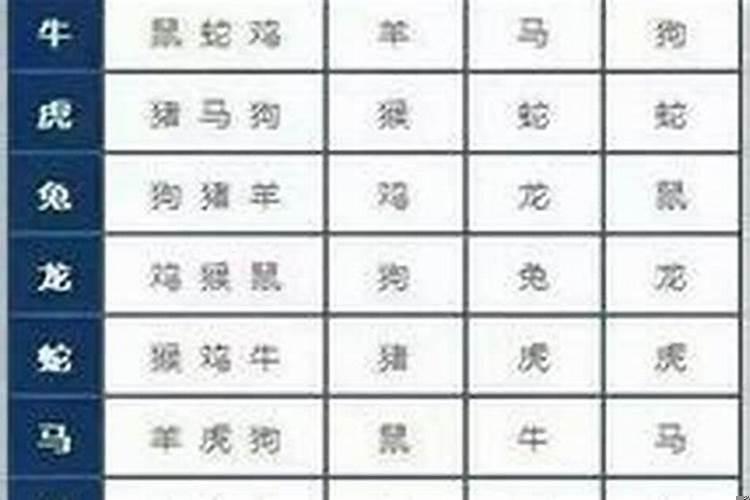 婚姻属相六害