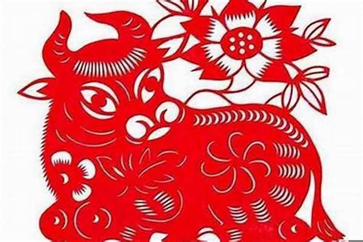 属牛和属牛的结婚伴娘忌什么属相