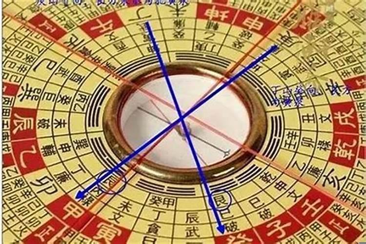 室内养什么最好旺财
