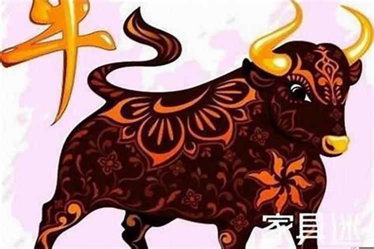 今年属牛的人运势怎么样