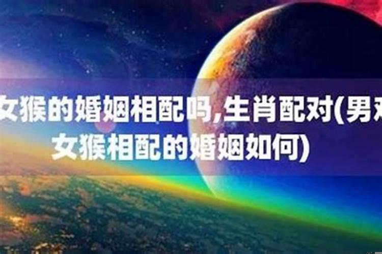 男鸡跟女猴属相结婚好么