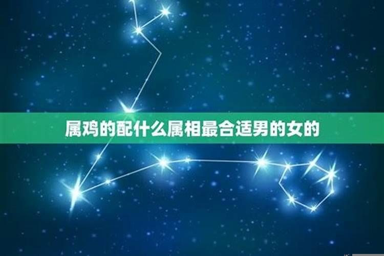 属鸡的配哪个属相最好