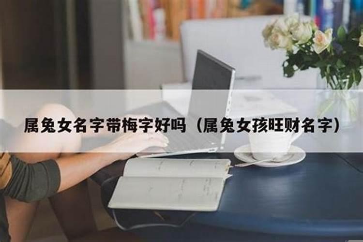 属兔女孩旺财的名字