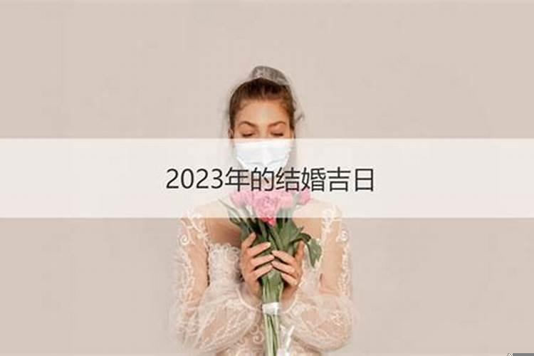 2025结婚的良辰吉日猪和鼠