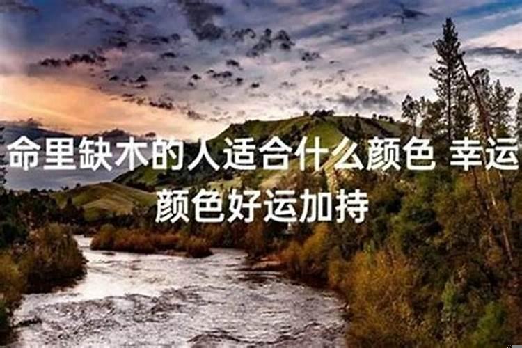 命里缺木的人怎么办