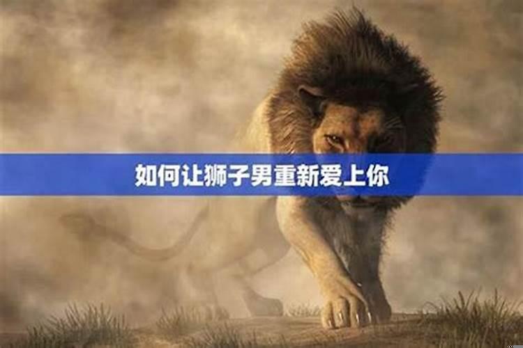 狮子男还爱你的表现