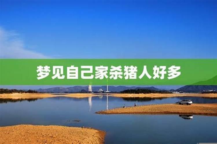 梦见家里有好多肉肉