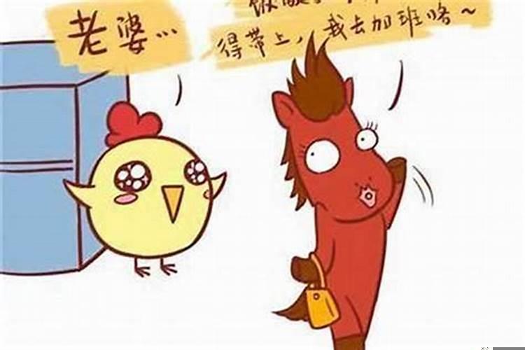 十二生肖合不合怎么配