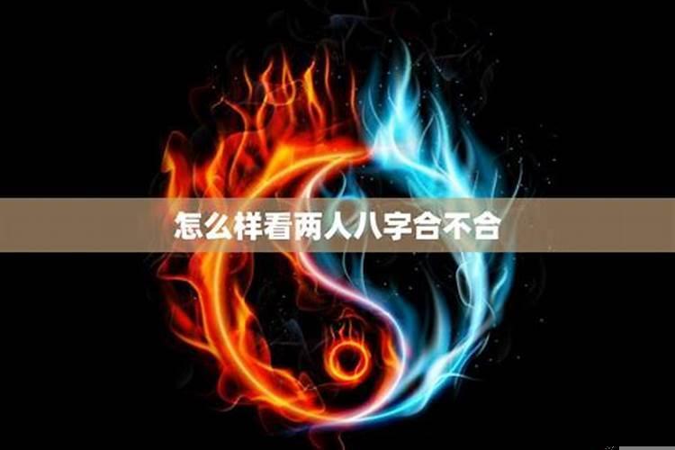 两个人八字相合是什么意思