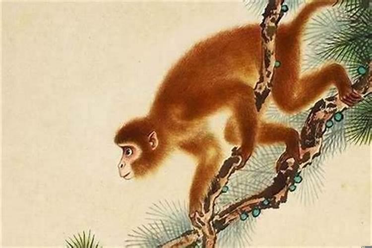 1968年属猴的运程