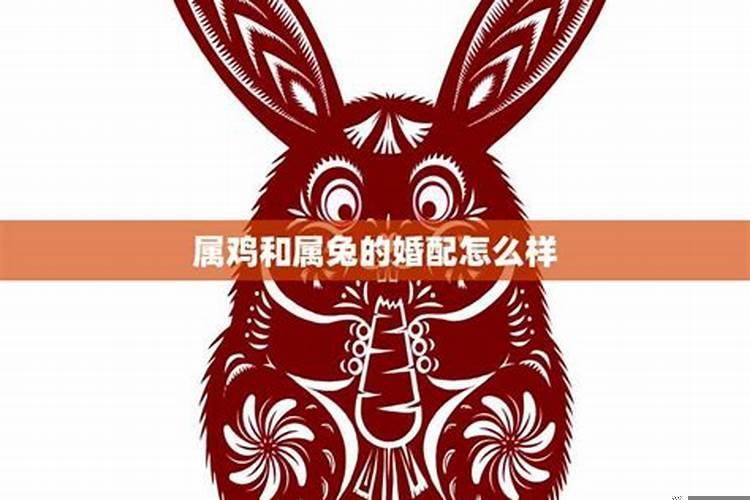 82年属狗和87年属兔的婚配好不好