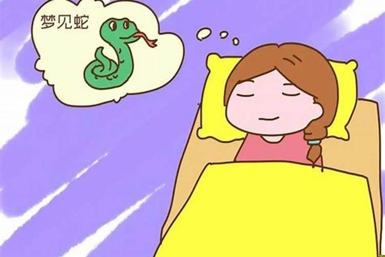 备孕梦见蛇，后来怀孕了