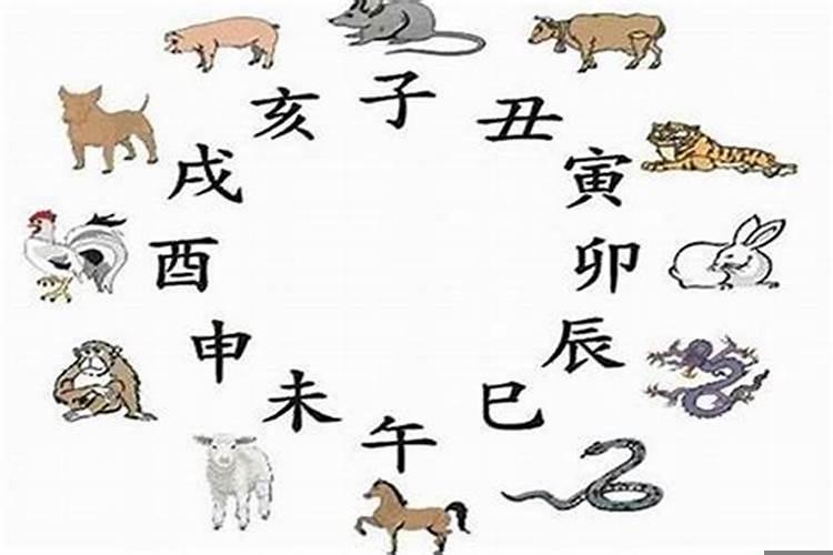82年属狗和87年属兔的婚配好不好