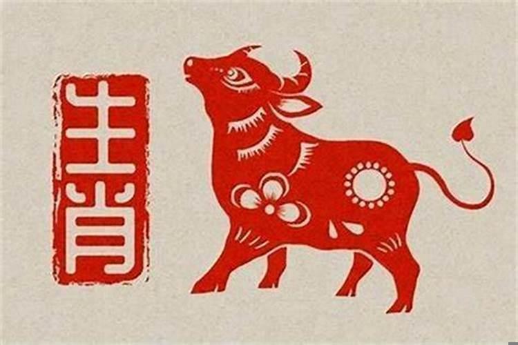 本命年能不能买车?