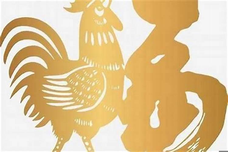 男属鸡女属马属相合吗