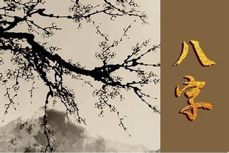 2025年适合结婚的属相八字