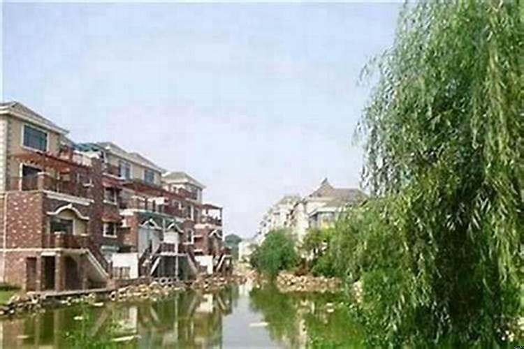 客厅放什么样的鱼缸好