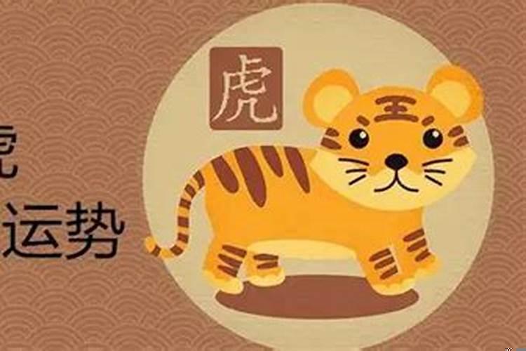 男属虎和女龙相配婚姻如何