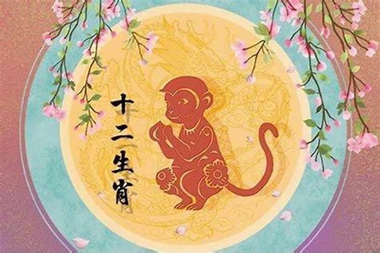 属兔和属猴2020年运势及运程