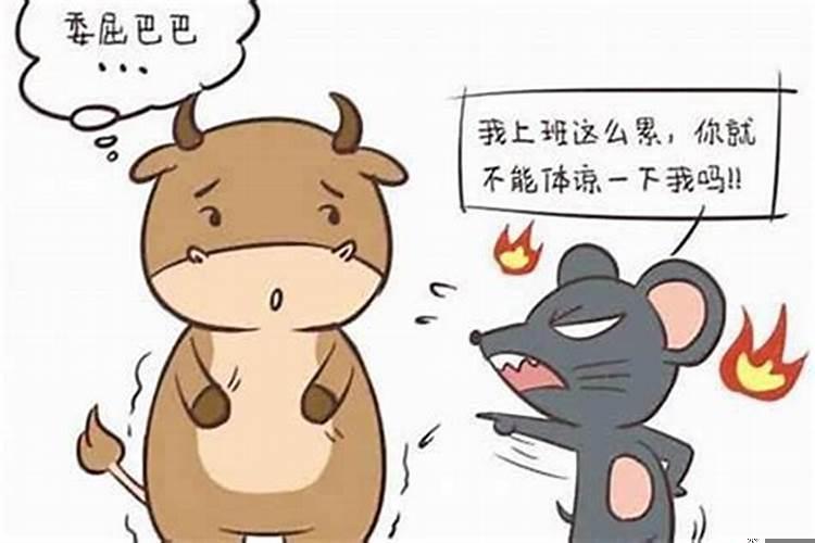 鼠男与猪女相配的婚姻如何