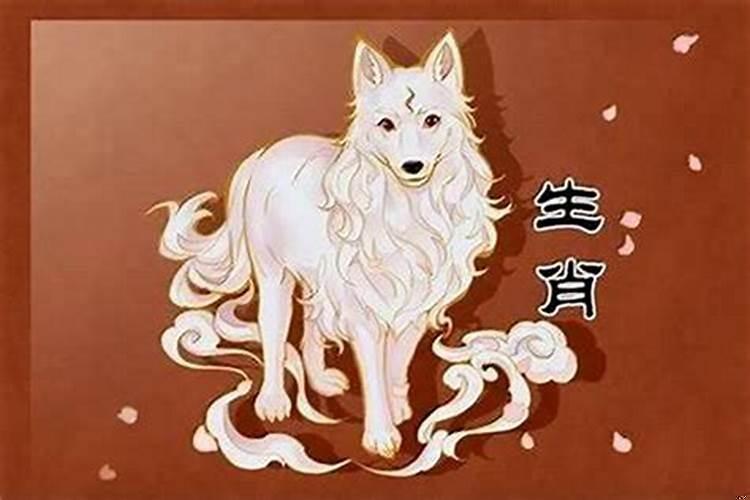 1970年属狗人的性格