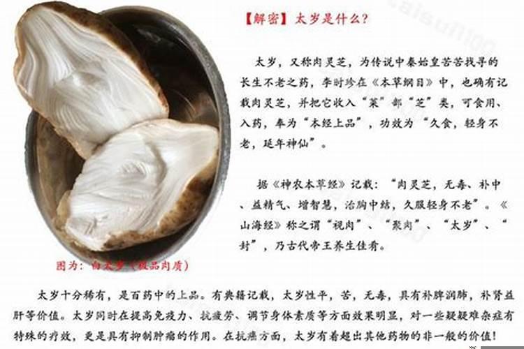 2025年马破太岁是什么意思