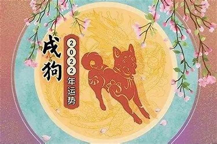 94年的狗佩戴什么好运
