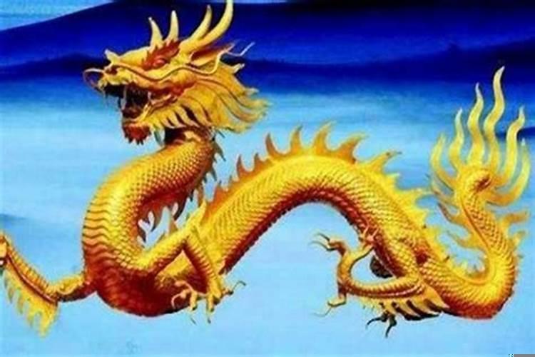 属龙哪一天出生最好