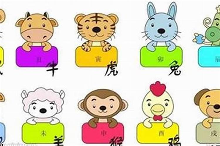 哪个生肖的孩子最有本事呢