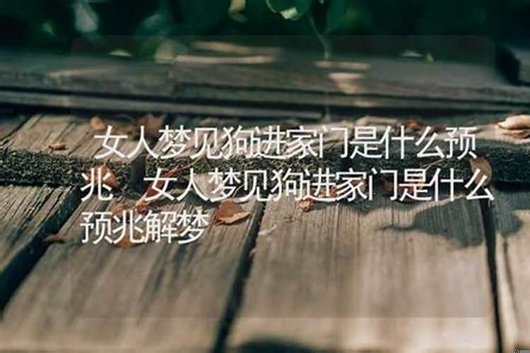 女人梦见黑狗进家预示什么意思呢