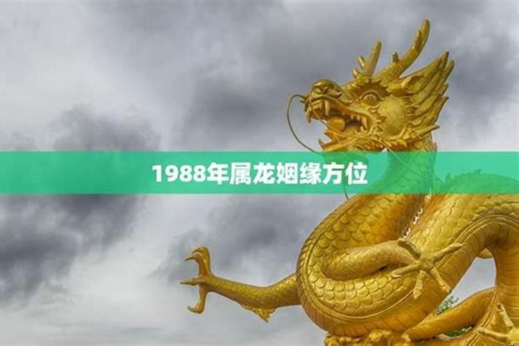 1988年出生属龙的财运