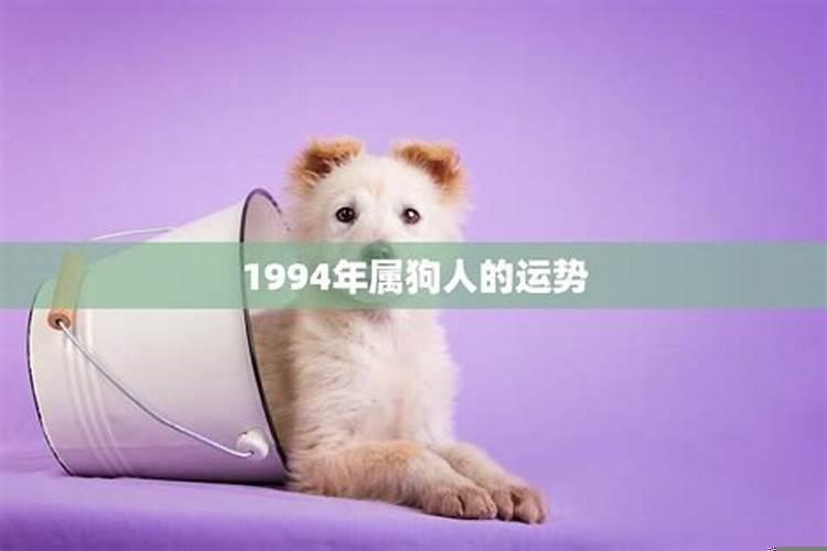 94年的狗佩戴什么好运