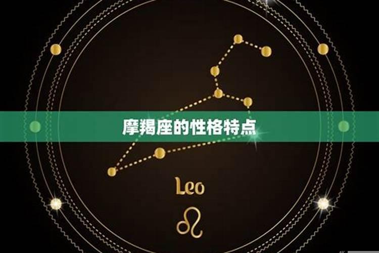 狮子为什么爱摩羯