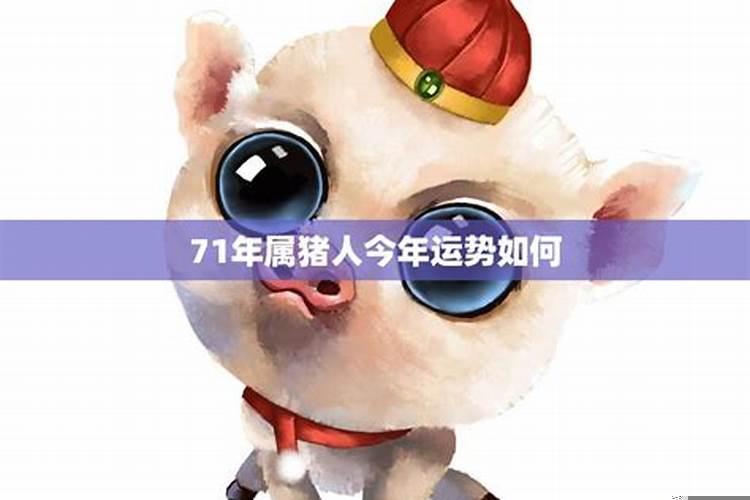 生肖猪未来几年运势