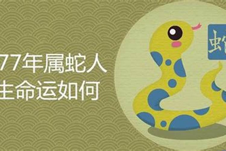 1977年属蛇是什么命