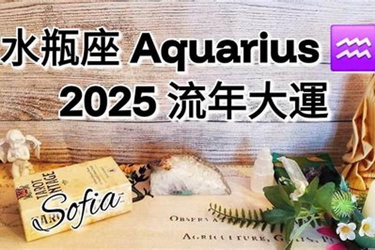 金星水瓶感情