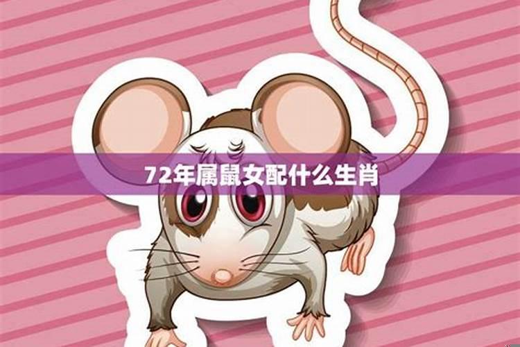 女鼠婚姻配什么最佳
