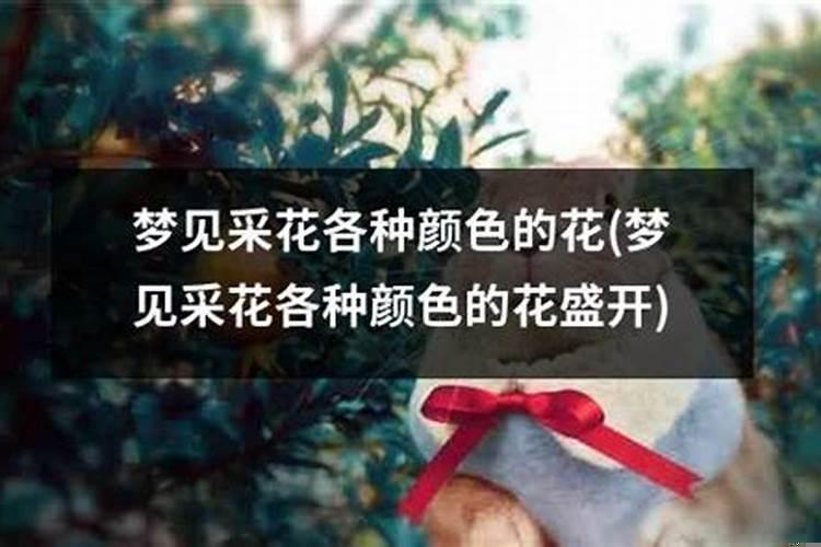 梦见自已采花