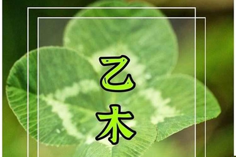 出生日期甲木乙木