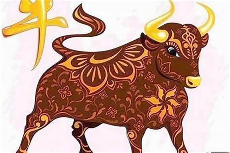 属牛比狗大几岁