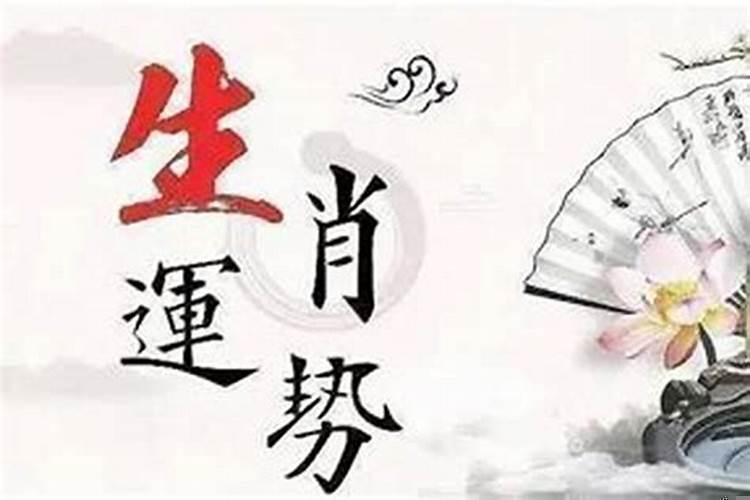 篮球如何运好球