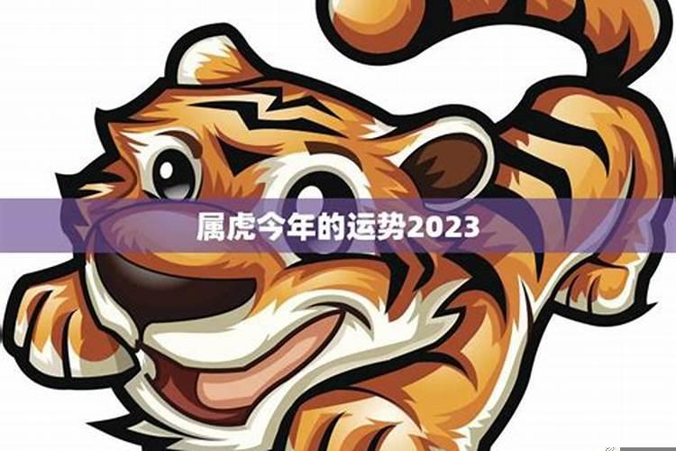 2022年属虎全年运势详解