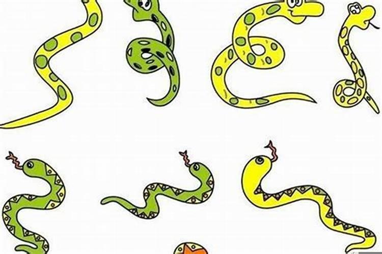 属蛇的最怕什么属相