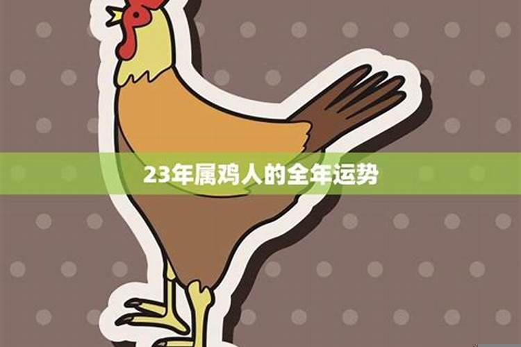属鸡的人今年运程好不好