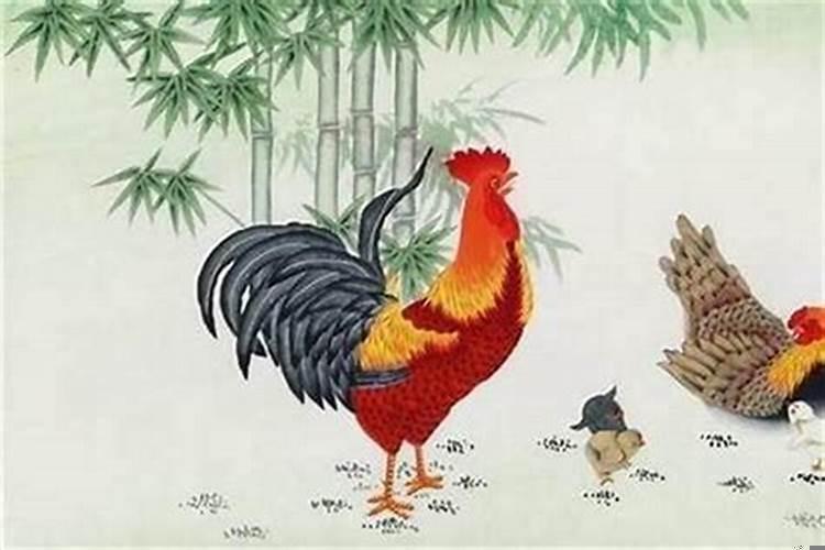 93年属鸡人2025年怎么样