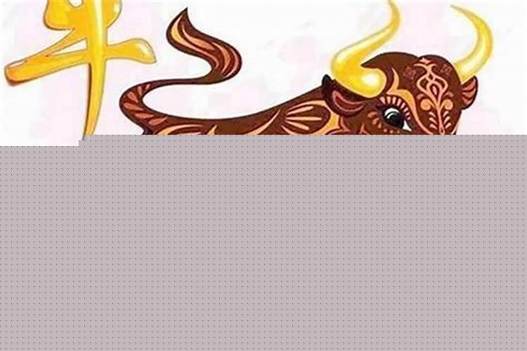 属牛比狗大几岁