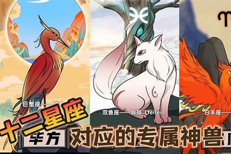四大神兽对应的星座