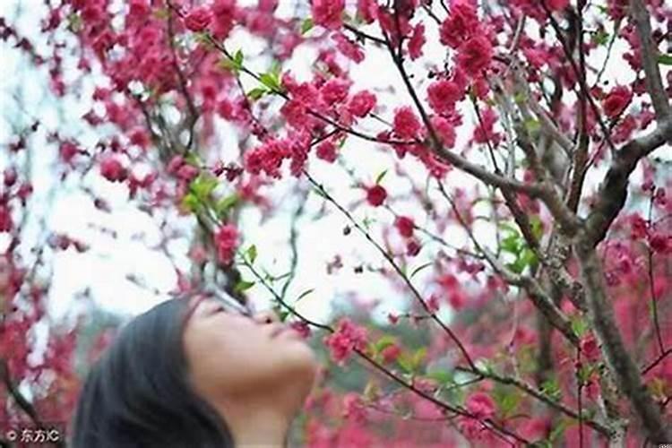已婚女人犯桃花运好吗