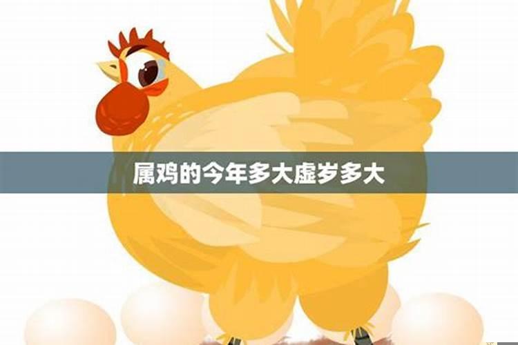 属鸡的人今年运程好不好