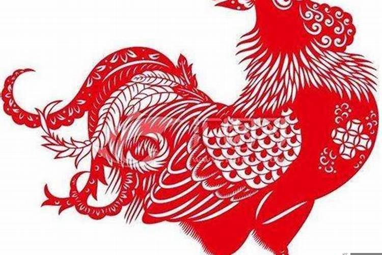 属鸡和属狗的能婚配吗